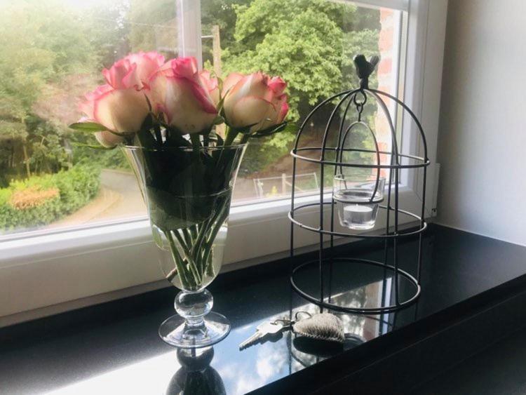 Vakantiewoning D'Hoppe Flobecq Bagian luar foto