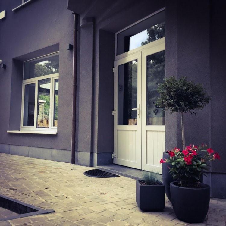Vakantiewoning D'Hoppe Flobecq Bagian luar foto